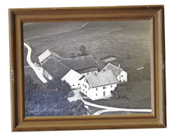 Schneiderbauer-Hof Lamprechtshausen - Fleckvieh-Kalbinnen Aufzucht